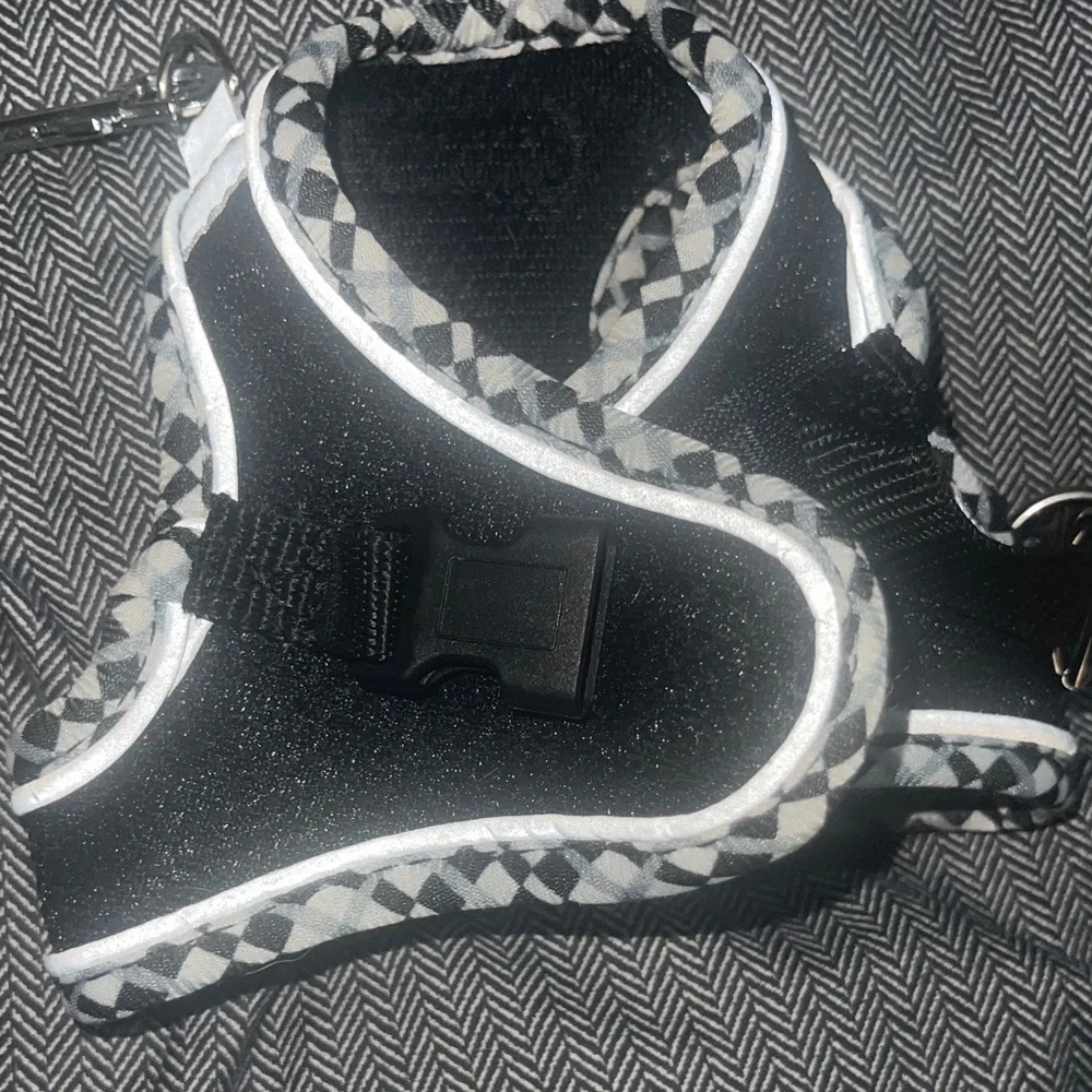 Chic Black and White Cat Harness and Leash Set